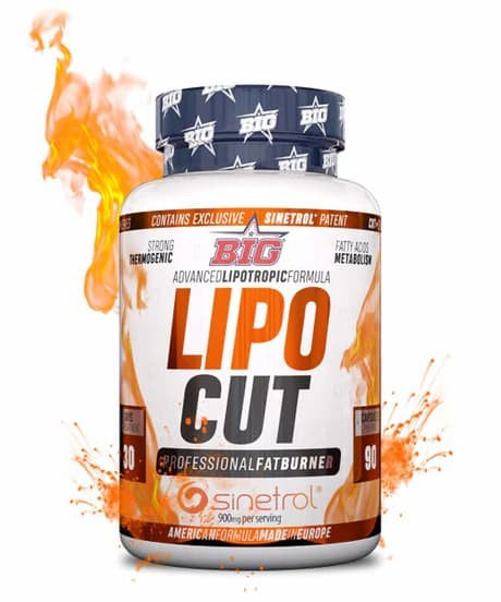 Lipo Cut - Big Supplements